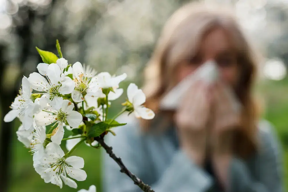 What to Do About Seasonal Allergies?